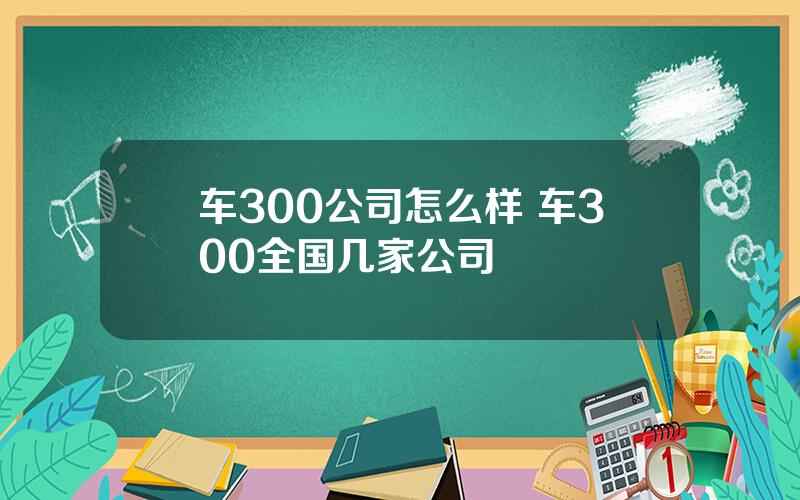 车300公司怎么样 车300全国几家公司